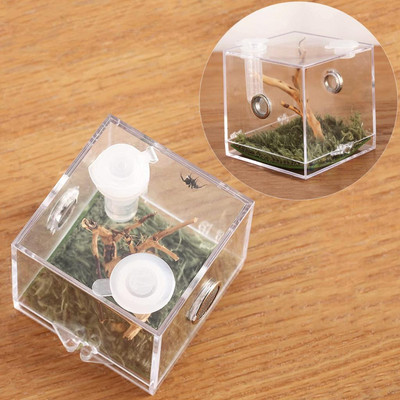 Műanyag kis rovartenyésztő doboz átlátszó ugró pók etetőketrece pókszöcske tücsök skorpió sáska bogár számára