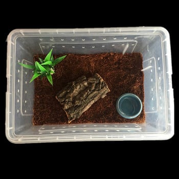 1PCS Reptile Tank Insect Spiders Tortoise Lizard Ακρυλικό διαφανές κουτί αναπαραγωγής Vivarium Lid Reptile Pet Προϊόν