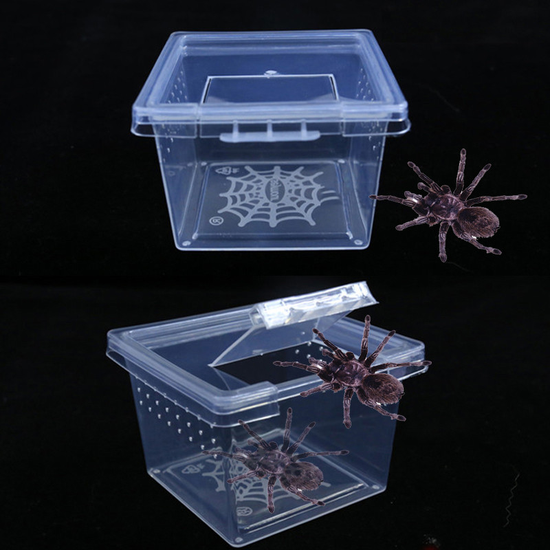 Κουτί αναπαραγωγής ερπετών Habitat Lizard Snake Amphibian Acrylic Cage Frog Spider Διάφανο κουτί διατροφής Εντόμων αναπνεύσιμο Terrarium