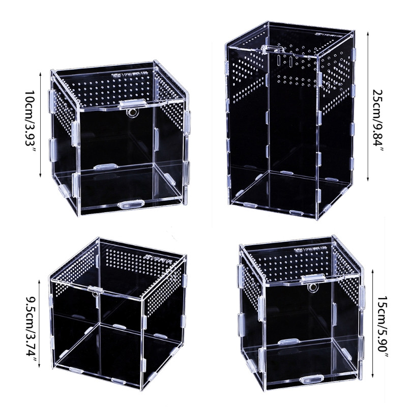 Cutie de hrănire pentru reptile Cutie de reproducere Terariu acrilic portabil Habitat transparent pentru insecte pentru mini șopârlă Centipede 4 dimensiuni