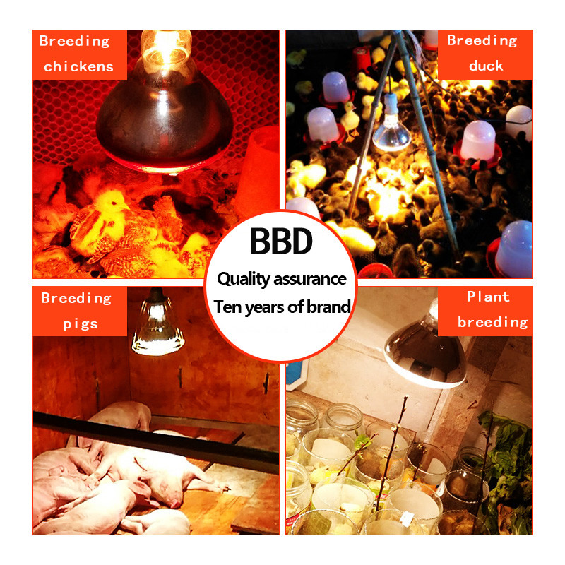 BONGBADA Quartz Farming Red Apkures ūdensnecaurlaidīga infrasarkanā lampa LED PAR38 100W 150W/200W/275W