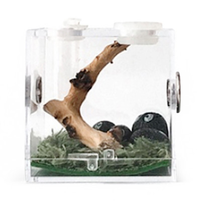 1Pcs Breeding Box - Transparent Insect Feeding Boxes Φορητό ακρυλικό περίβλημα ερπετών - δοχείο αναπαραγωγής με μεταλλικό αερισμό