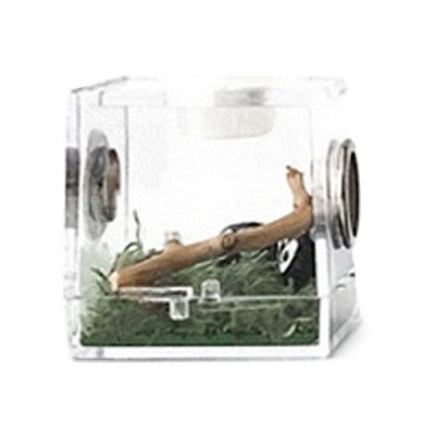 1Pcs Breeding Box - Transparent Insect Feeding Boxes Φορητό ακρυλικό περίβλημα ερπετών - δοχείο αναπαραγωγής με μεταλλικό αερισμό