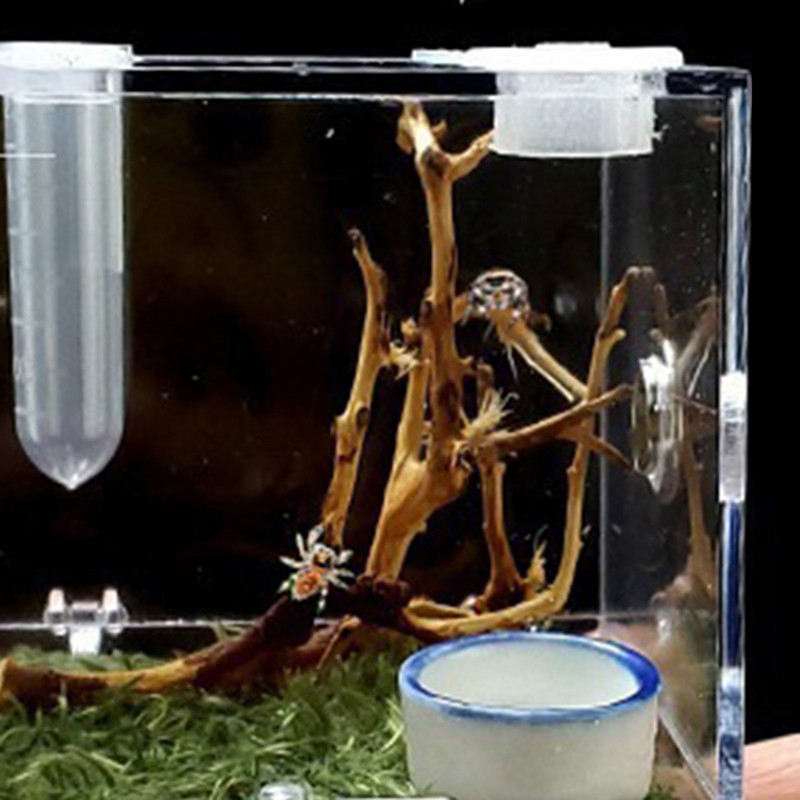1Pcs Breeding Box - Transparent Insect Feeding Boxes Φορητό ακρυλικό περίβλημα ερπετών - δοχείο αναπαραγωγής με μεταλλικό αερισμό