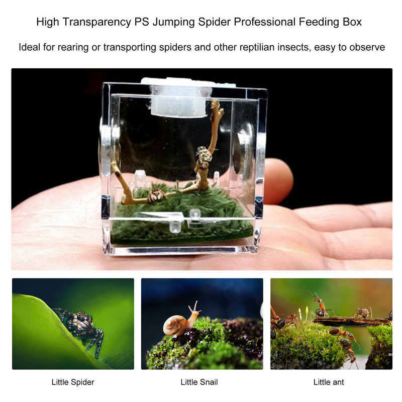 1Pcs Breeding Box - Transparent Insect Feeding Boxes Φορητό ακρυλικό περίβλημα ερπετών - δοχείο αναπαραγωγής με μεταλλικό αερισμό