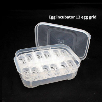 DIY 12 Grids Hatch Box Snake Lizard Reptile Egg Tray Boxes Συσκευή αναρρίχησης για κατοικίδια χελώνα χελώνα