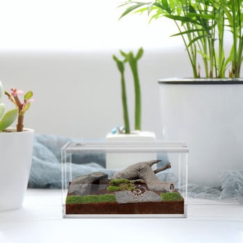 Reptile Box Breeding Tank Feeding Forterrarium Διάφανο περίβλημα θήκης κοντέινερ Κρίκετ Isolated Crab Tarantula Habitat