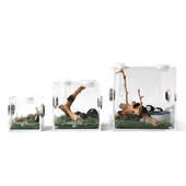 Cutii acrilice pentru hrănirea animalelor de companie cu orificiu de ventilație din metal pentru păianjen șopârlă Scorpion Centipede broaște cu coarne reptile incintă