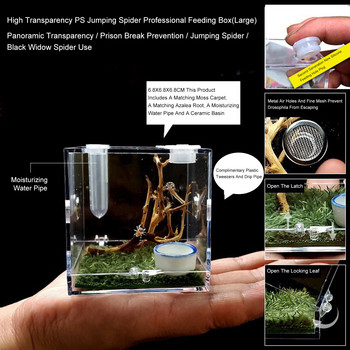 Ακρυλικά κιβώτια τροφοδοσίας εντόμων με μεταλλική οπή αερισμού για σαύρα αράχνης Scorpion Centipede Horned Frog Repile Περίβλημα