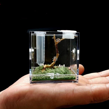 Ακρυλικά κιβώτια τροφοδοσίας εντόμων με μεταλλική οπή αερισμού για σαύρα αράχνης Scorpion Centipede Horned Frog Repile Περίβλημα