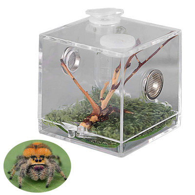 S/M/L Pókhüllő terrárium akril hüllőtenyésztő doboz terráriumi kiegészítők rovardoboz pók tücsökcsiga tarantula számára
