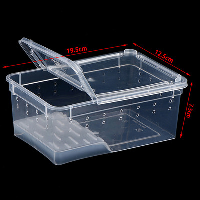 1 ΤΕΜ Vivarium Lid Reptile Pet Product Reptile Tank Insect Spiders Tortoise Lizard Ακρυλικό διαφανές κουτί αναπαραγωγής