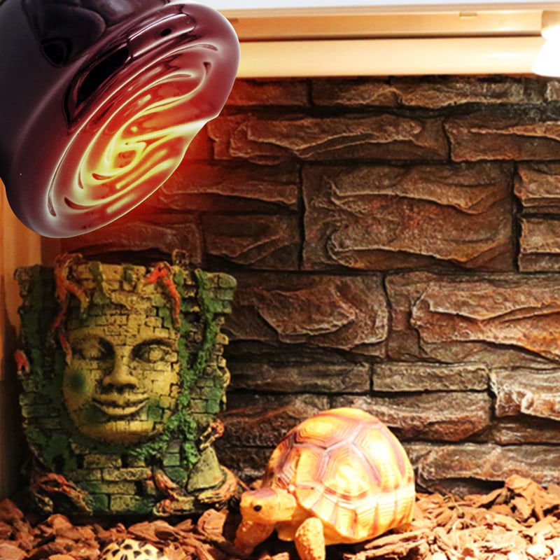 E27 naminių gyvūnėlių šildymo lempa Mini infraraudonųjų spindulių keraminė spinduliuotė šilumos lemputė Naminiai gyvūnai Vėžlys šildymo šviesos dėžutės šildomos lemputės 25/50/75/100W