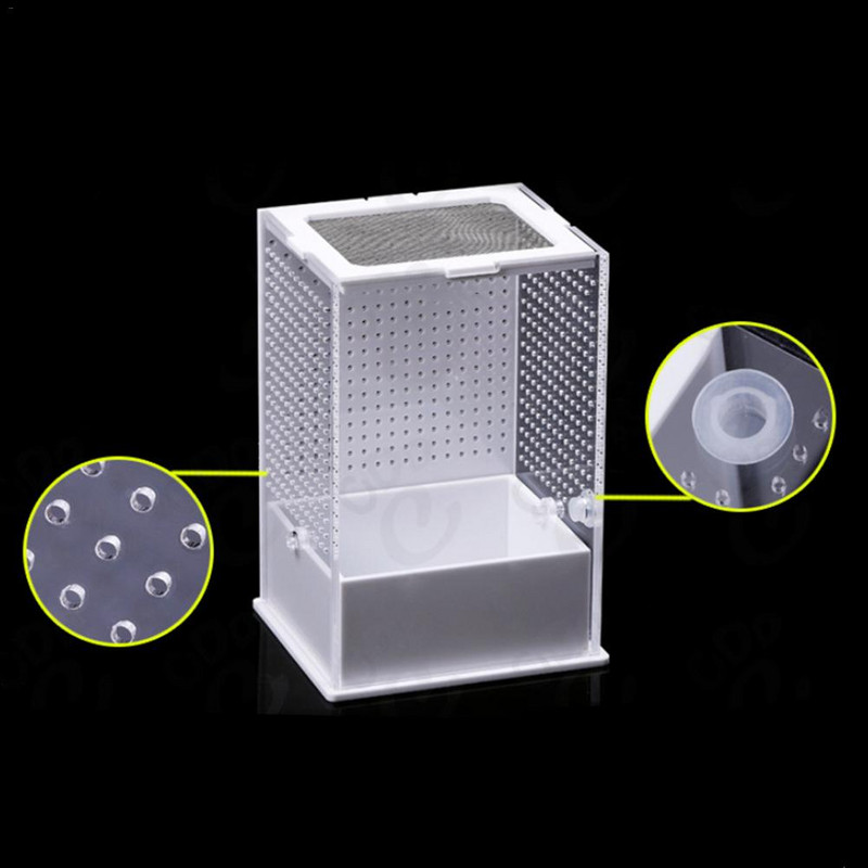 Caurspīdīga akrila rāpuļu barošanas kaste Kukaiņu kaste Praying Mantis Reptile Mājas kukaiņu būris Reptiļu terārijs Mantis vaislas kaste