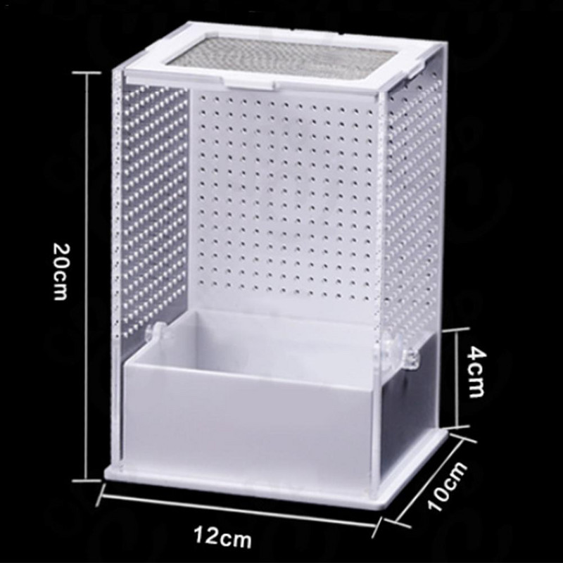 Caurspīdīga akrila rāpuļu barošanas kaste Kukaiņu kaste Praying Mantis Reptile Mājas kukaiņu būris Reptiļu terārijs Mantis vaislas kaste