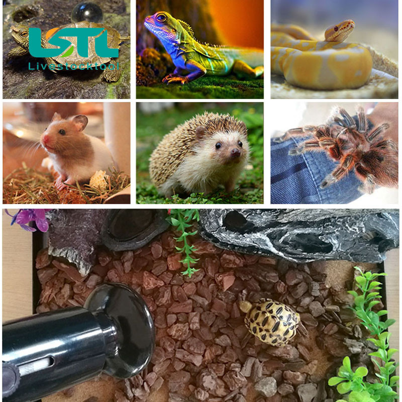 2 gab. Mājdzīvnieku rāpuļu apsildes spuldze Infrasarkanā keramiskā izstarotāja siltuma lampas Mājdzīvnieku brooder rāpuļu lampa 220V-240V