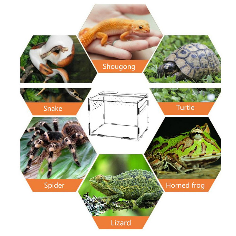S/L izmēra rāpuļu tvertne kukaiņu zirnekļi Bruņurupuču ķirzaka akrila caurspīdīga audzēšanas kaste Vivarium vāks rāpuļu mājdzīvnieku izstrādājumu terārijs
