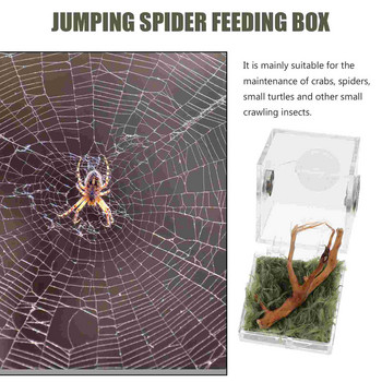 Spider Box Reptile Breeding Insect Jumping Cage Enclosure Tank Terrarium Caselizard Feeding Snail Habitat Cricket Ακρυλικό
