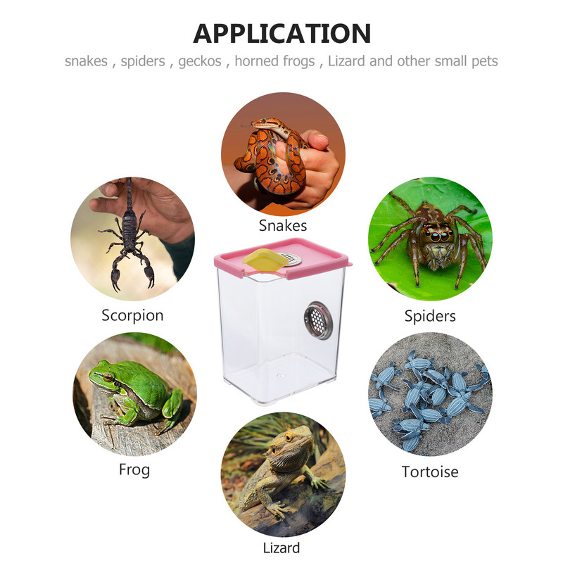 Kutija Gmaz Terarij Pauk Nosač za hranjenje Zmija Kućište Spremnik Stanište Uzgoj tarantule Puž Čuvar Kornjača InsektŽaba
