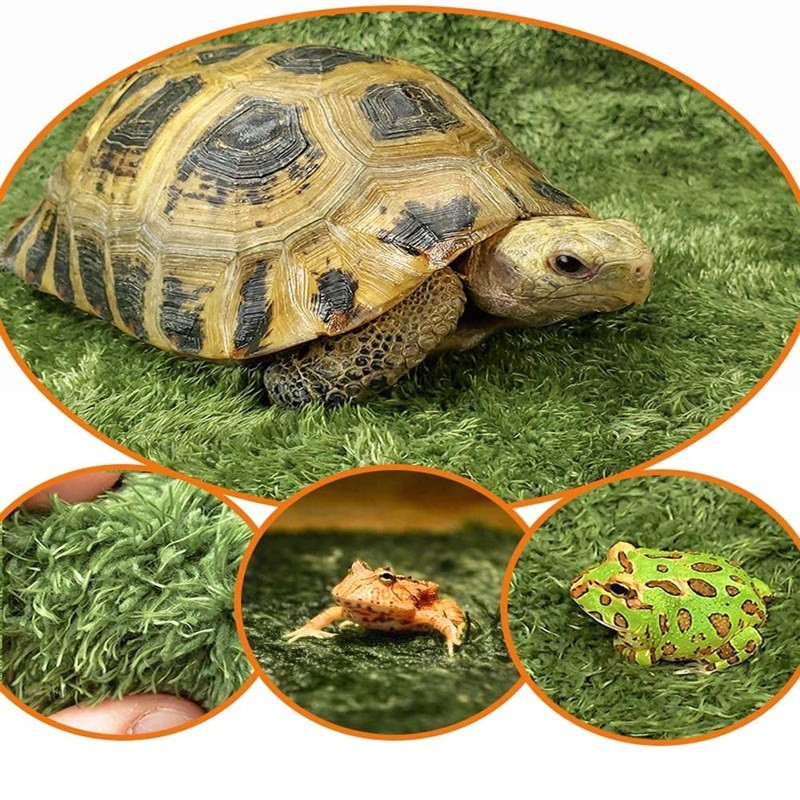 Симулация на трева от мъх Тревна площ Влечуго Терариум Постелки Субстрат Подложка Направи си сам Микро пейзаж Изкуствена тревна постелка за Гущер Змия