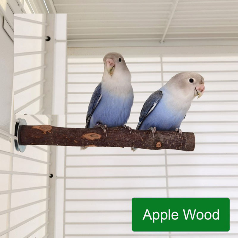 Természetes fa kisállat papagáj nyers fa villa faág állvány mókus madár hörcsög ág ülőrudak rágóharapás játékok bot