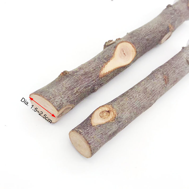 Természetes fa kisállat papagáj nyers fa villa faág állvány mókus madár hörcsög ág ülőrudak rágóharapás játékok bot