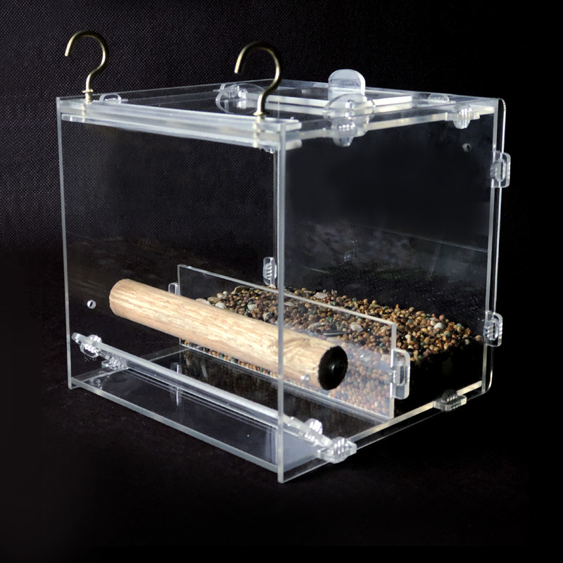 Ακρυλικός τροφοδότης πουλιών Διαφανές κουτί φαγητού για παπαγάλους αδιάβροχο Cup Bird Automatic Feeder Bird Cage Accessories
