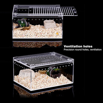 Reptile Breeding Box Clear Acrylic Reptile Feeding Box Πολλαπλών χρήσεων Terrarium For Insect Tarantulas Amphibians Lizard Snail