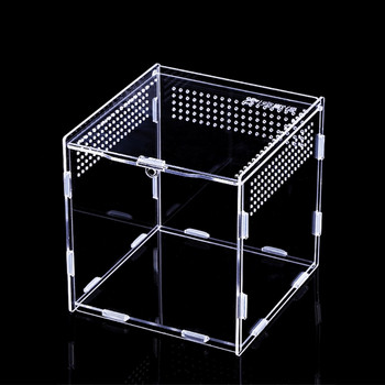 Reptile Feeding Box Acrylic Terrarium Containers for Spider Lizard Frog Beetle