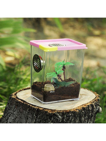 Acrylic Terrarium Spider Breeding Box Κουτί τροφοδοσίας ερπετών για αναρρίχηση κατοικίδιων ζώων Terrarium Snake Spider Lizard Scorpion Centipede