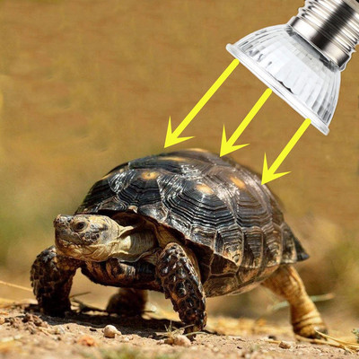 25/50W лампа за влечуги крушка костенурка греене UV крушки нагревателна лампа земноводни гущери регулатор на температурата