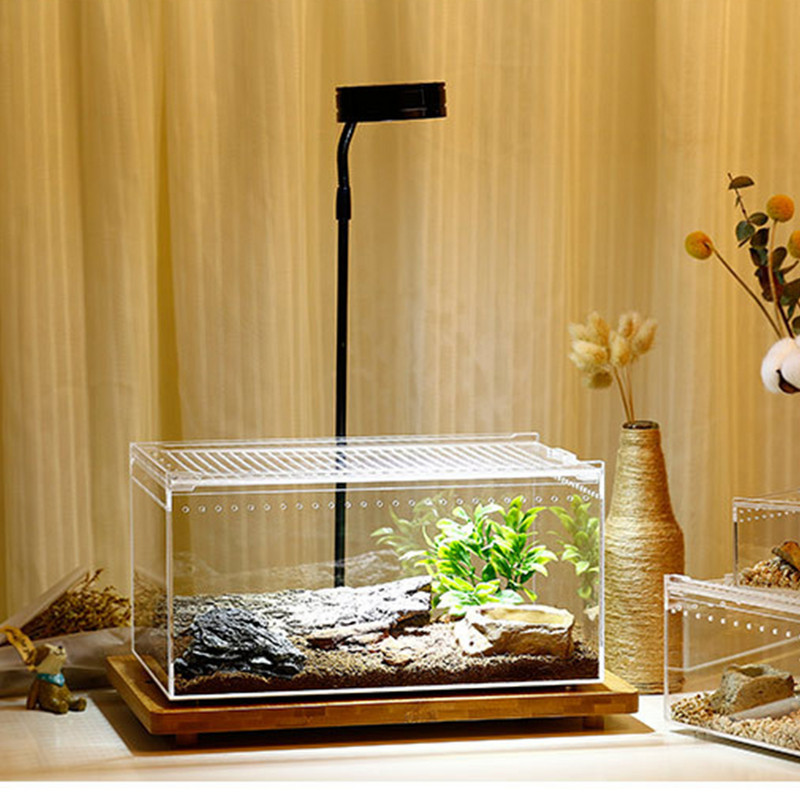 Roomajate kasti kasvatamise paak, söötmispaak terraarium Spiderclear kilpkonna elupaik läbipaistev akrüülmadu Peida putukas suur korpus Live