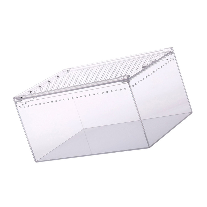 Roomajate kasti kasvatamise paak, söötmispaak terraarium Spiderclear kilpkonna elupaik läbipaistev akrüülmadu Peida putukas suur korpus Live