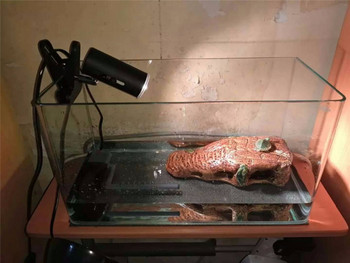 25W UVA&uvb ρύθμιση θερμοκρασίας λαμπτήρες χελώνα ερπετό Heat back φως κατοικίδιο χελώνα ασβέστιο σολάριουμ ενυδρείο φωτισμός οικοτόπου
