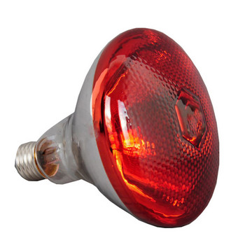 250w инфрачервена топлинна лампа водоустойчива против експлозия удебелени електрически крушки за прасенца пиле патица птици WWO66