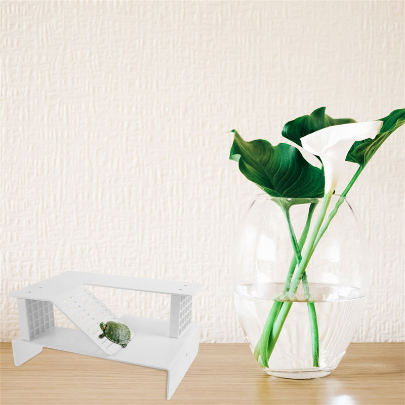 Kilpkonna platvorm Pesutav kilpkonnapaak ujuv akvaarium Terrass ronimisala Roomajate puhkekaldtee redel dokk vesikonna terrapin