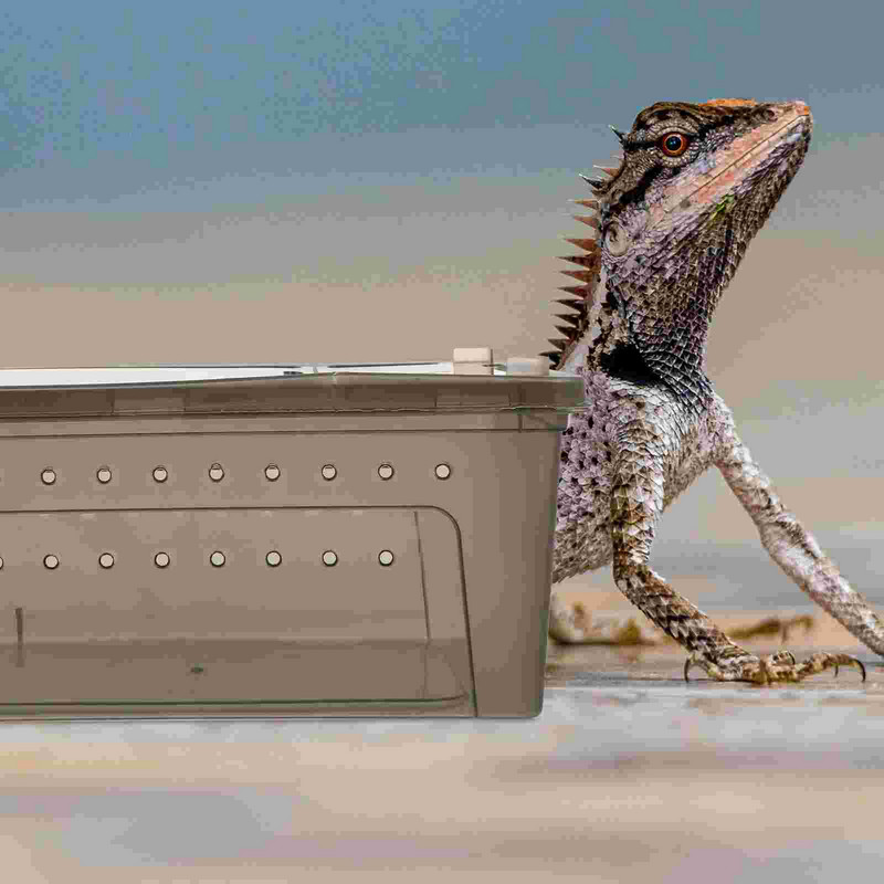 Dėžė Roplių veisimo terariumas Naminių gyvūnėlių narvelis Driežas Tiektuvas Bakas šėrimas Vėžlys Gyvūnų Dėklas Gyvatės voras Talpykla kambarinis akrilinis vabzdys