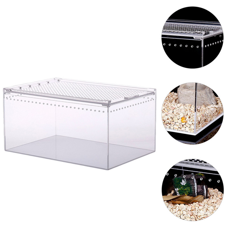 Reptile Box Breeding Tank Feeding Terrarium Spiderclear Turtle Habitat Διαφανές ακρυλικό φίδι Hide Insect Large Case Live