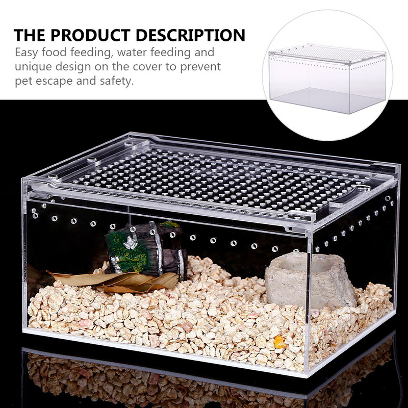 Reptile Box Breeding Tank Feeding Terrarium Spiderclear Turtle Habitat Διαφανές ακρυλικό φίδι Hide Insect Large Case Live