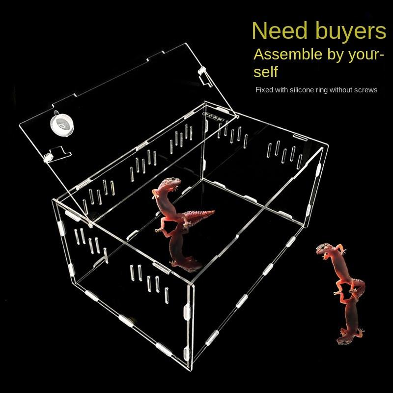 Cutie acrilică transparentă pentru decorarea reptilelor pentru animale de companie Cutie acrilică pentru hrănire pentru reptile pentru cățărare furnici cutie pentru hrănire pentru animale de companie Decorare fermă