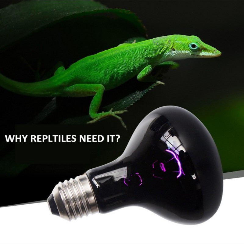 Lampă de căldură cu infraroșu UVA pentru reptile, 25-100W, pentru terariu, bec de căldură, bec pentru reptile, cum ar fi șopârla Cameleon