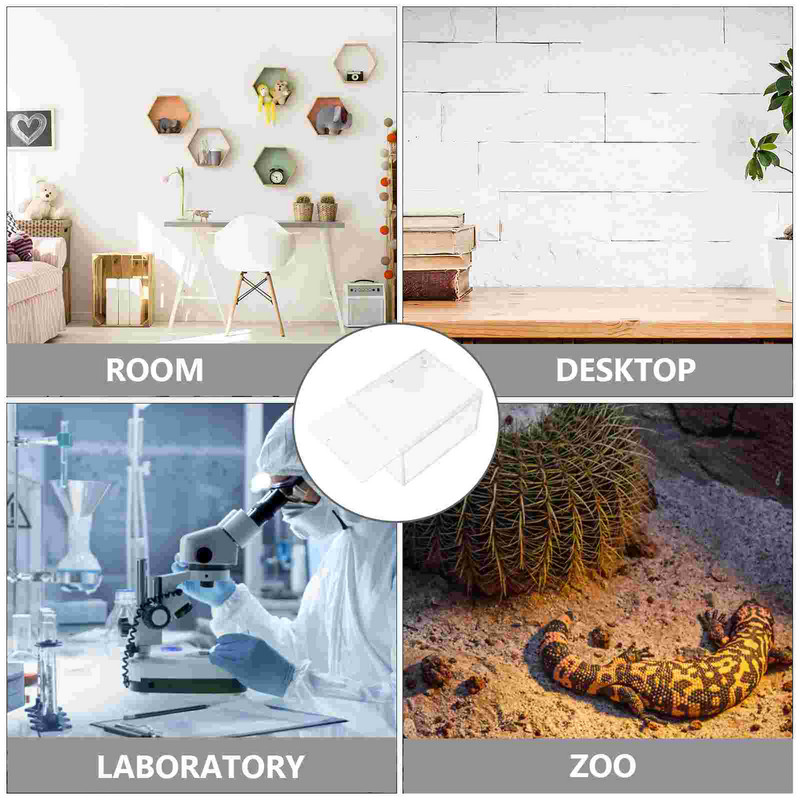 Kasvatamiskast Lemmiklooma puur Roomajate tanksöötmine ussivastane geko põgenemine terraariumist Roomajateta ämblikud akrüülakvaarium Betta kilpkonn 