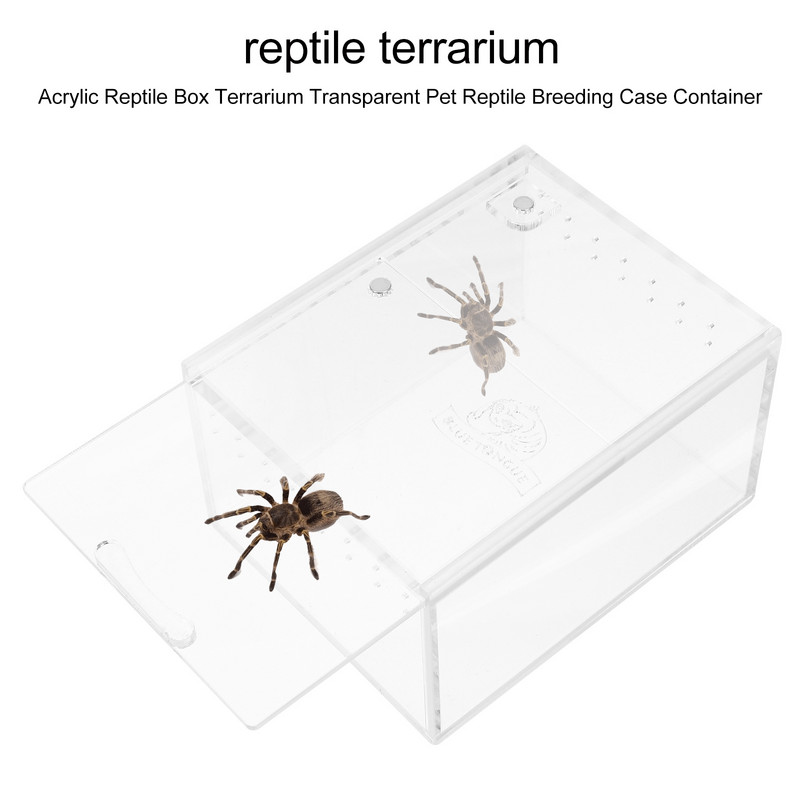 Kasvatamiskast Lemmiklooma puur Roomajate tanksöötmine ussivastane geko põgenemine terraariumist Roomajateta ämblikud akrüülakvaarium Betta kilpkonn 