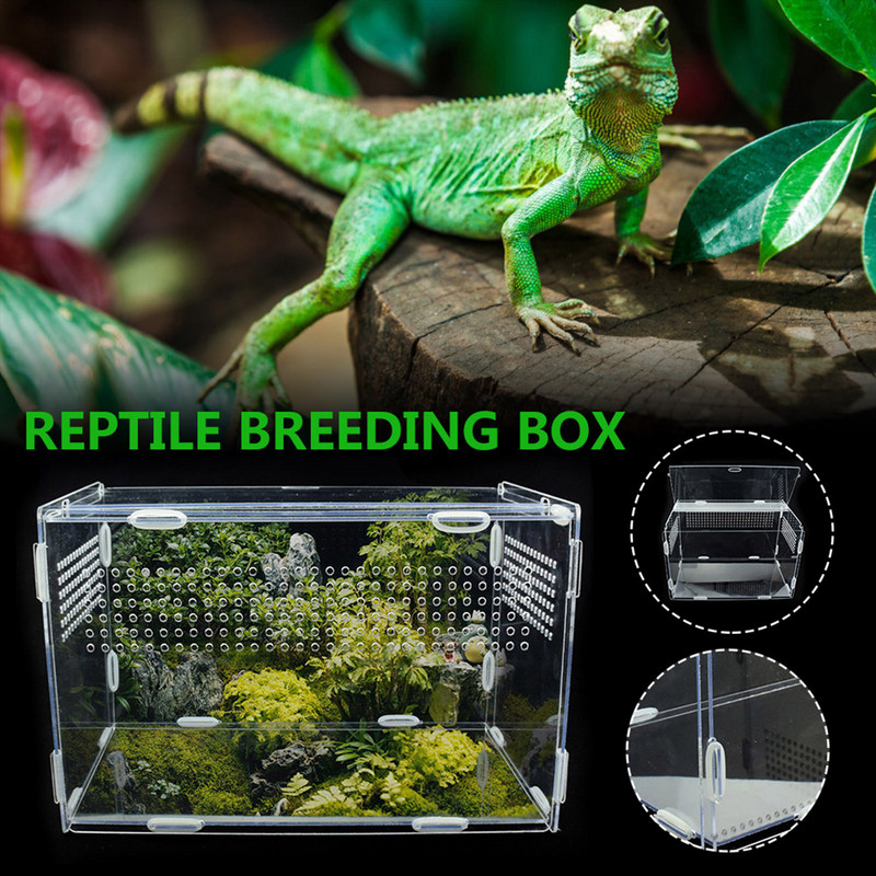 Reptile Breeding Box Acrylic Terrarium Feeding Box Διαφανές για Ζώα Reptile Pets Έντομο Spider Lizard Frog Pleasure