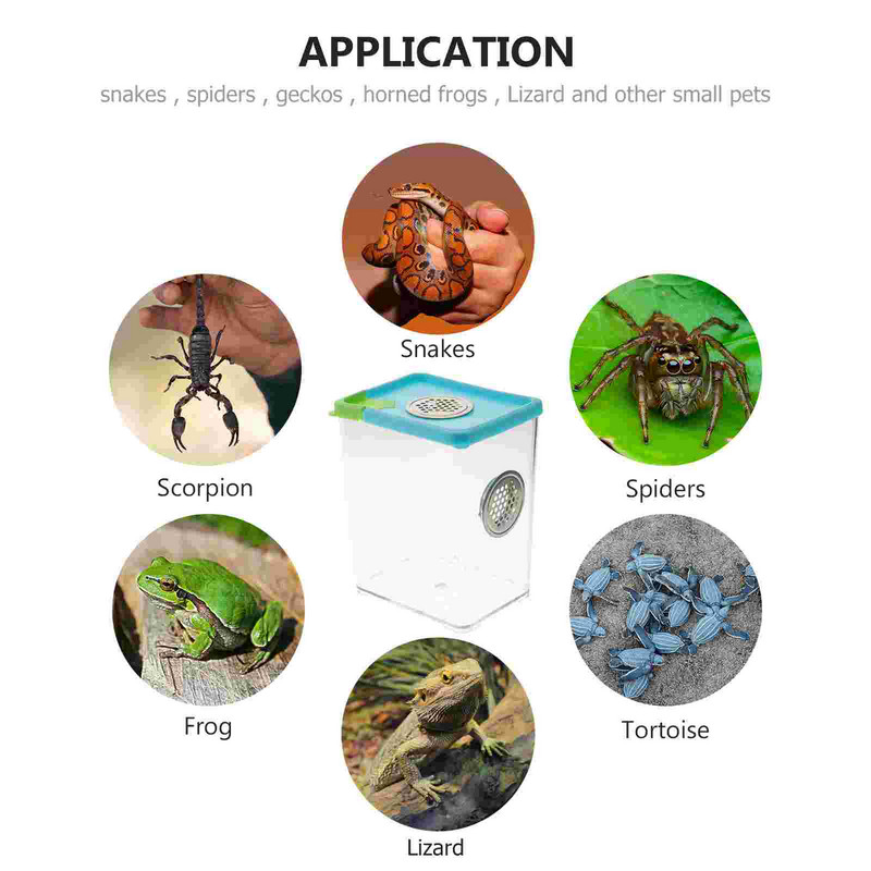 Cutie Reptile Terariu Păianjen Purtător de hrănire Încintă pentru șarpe Container Habitat Creșterea tarantulei Păstrătorul de melci Țestoasa Broasca insectă