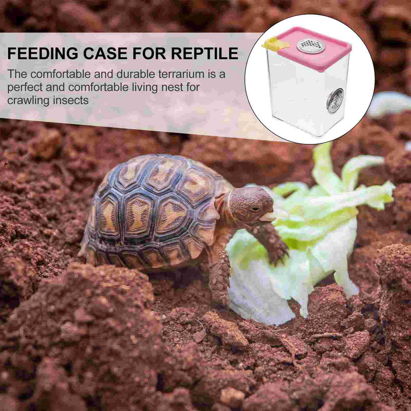 Cutie Reptile Terariu Păianjen Purtător de hrănire Încintă pentru șarpe Container Habitat Creșterea tarantulei Păstrătorul de melci Țestoasa Broasca insectă
