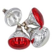 Παχύς λαμπτήρας θέρμανσης Λαμπτήρας αναπαραγωγής υψηλής ποιότητας E27 100W/150W/200W/250W LED Light Pet Brooder Hatch Chicken Pig Heater Bulbs