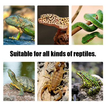 6W-36W Intelligence Reptiles Heat Mats Climbing Pet Heating Ζεστά επιθέματα Ρυθμιζόμενος ελεγκτής θερμοκρασίας Mats Reptiles Supplies