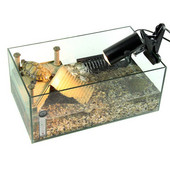 25/50/75W UVA+UVB 3.0 Rāpuļu lampas spuldze Bruņurupucis Basking UV gaismas spuldzes Apkures lampa Abinieki Ķirzakas Temperatūras kontrolieris