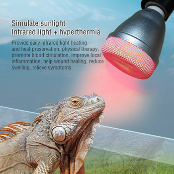 UVA+UVB Θερμότητα ερπετών Λάμπα φωτός ημέρας Bulb Turtle Lizard Terrarium Ελεγκτής θερμοκρασίας Αδιάβροχη υπέρυθρη λάμπα κηλίδας